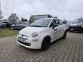 Fiat 500 MY23 1.0 Last Edition Tech & Komfortpaket Weiß - thumbnail 2