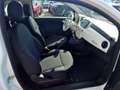 Fiat 500 MY23 1.0 Last Edition Tech & Komfortpaket Weiß - thumbnail 9