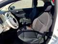 Fiat 500 MY23 1.0 Last Edition Tech & Komfortpaket Weiß - thumbnail 11