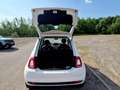 Fiat 500 MY23 1.0 Last Edition Tech & Komfortpaket Weiß - thumbnail 12