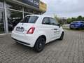 Fiat 500 MY23 1.0 Last Edition Tech & Komfortpaket Weiß - thumbnail 3
