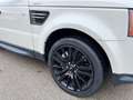 Land Rover Range Rover Sport 3.0 Blanco - thumbnail 7