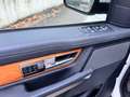 Land Rover Range Rover Sport 3.0 Blanco - thumbnail 15