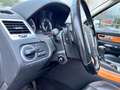 Land Rover Range Rover Sport 3.0 Blanco - thumbnail 9