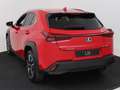 Lexus UX 250h Business Line | Safety System | 18" LM velgen | Ap Rojo - thumbnail 10