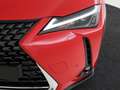 Lexus UX 250h Business Line | Safety System | 18" LM velgen | Ap Rood - thumbnail 37