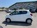 Citroen C1 C11.0 VTI BENZINA 68CV 5 PORTE SHINE 2015 Blanc - thumbnail 17