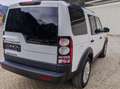 Land Rover Discovery Discovery 4 3,0 TDV6 S Aut. S Weiß - thumbnail 5