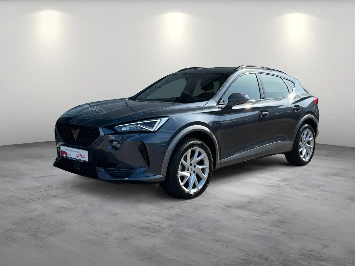 CUPRA Formentor 2.0TDI 4Drive AHK NAVI KAM Grau - 2