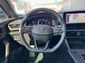 CUPRA Formentor 2.0TDI 4Drive AHK NAVI KAM Grau - thumbnail 10