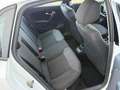 Volkswagen Polo Comfortline BMT 1,4 TDI *großes Service+ZR+WAPU... Weiß - thumbnail 15