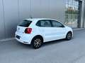 Volkswagen Polo Comfortline BMT 1,4 TDI *großes Service+ZR+WAPU... Weiß - thumbnail 6