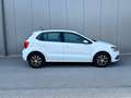 Volkswagen Polo Comfortline BMT 1,4 TDI *großes Service+ZR+WAPU... Weiß - thumbnail 5