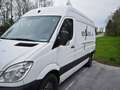 Mercedes-Benz Sprinter 210/211/213/214/216 CDI (906.611/613) Weiß - thumbnail 2