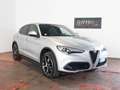 Alfa Romeo Stelvio 2.2 MJT Q4 210 CV Executive *TETTO* Argento - thumbnail 1