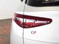 Alfa Romeo Stelvio 2.2 MJT Q4 210 CV Executive *TETTO* Argento - thumbnail 10