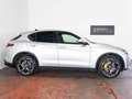 Alfa Romeo Stelvio 2.2 MJT Q4 210 CV Executive *TETTO* Argento - thumbnail 4
