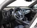 Alfa Romeo Stelvio 2.2 MJT Q4 210 CV Executive *TETTO* Argento - thumbnail 6