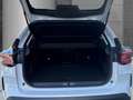 Citroen C4 MAX 8-AT Alcantara Winter Techno-Light-Paket Allwe Bianco - thumbnail 5