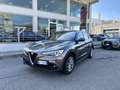 Alfa Romeo Stelvio 2.2 t Business rwd 160cv auto Bronze - thumbnail 1