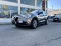 Alfa Romeo Stelvio 2.2 t Business rwd 160cv auto Bronze - thumbnail 3