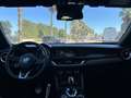 Alfa Romeo Stelvio 2.2 t Business rwd 160cv auto Bronze - thumbnail 12
