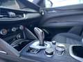 Alfa Romeo Stelvio 2.2 t Business rwd 160cv auto Bronze - thumbnail 19
