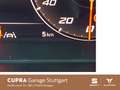 SEAT Ibiza FR Pro Black Edition 1.5 TSI DSG Grau - thumbnail 12