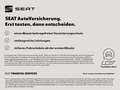 SEAT Ibiza FR Pro Black Edition 1.5 TSI DSG Grau - thumbnail 13