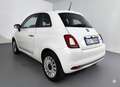 Fiat 500 1.0 Hybrid Dolcevita *CLIMA AUTO*SENSORI POST* Blanc - thumbnail 6