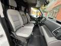 Hyundai H 350 2.5CRDI 150PK |❗️HANDELAAR / EXPORT❗️| Blanc - thumbnail 13