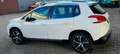 Peugeot 2008 1.6 vti 16v Allure 120cv Bianco - thumbnail 4
