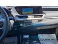 Lexus ES 300 Hybrid Executive Gris - thumbnail 11