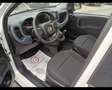 Fiat Panda 1.0 FireFly Hybrid Blanc - thumbnail 10
