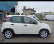 Fiat Panda 1.0 FireFly Hybrid Blanc - thumbnail 5
