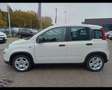 Fiat Panda 1.0 FireFly Hybrid Blanc - thumbnail 2