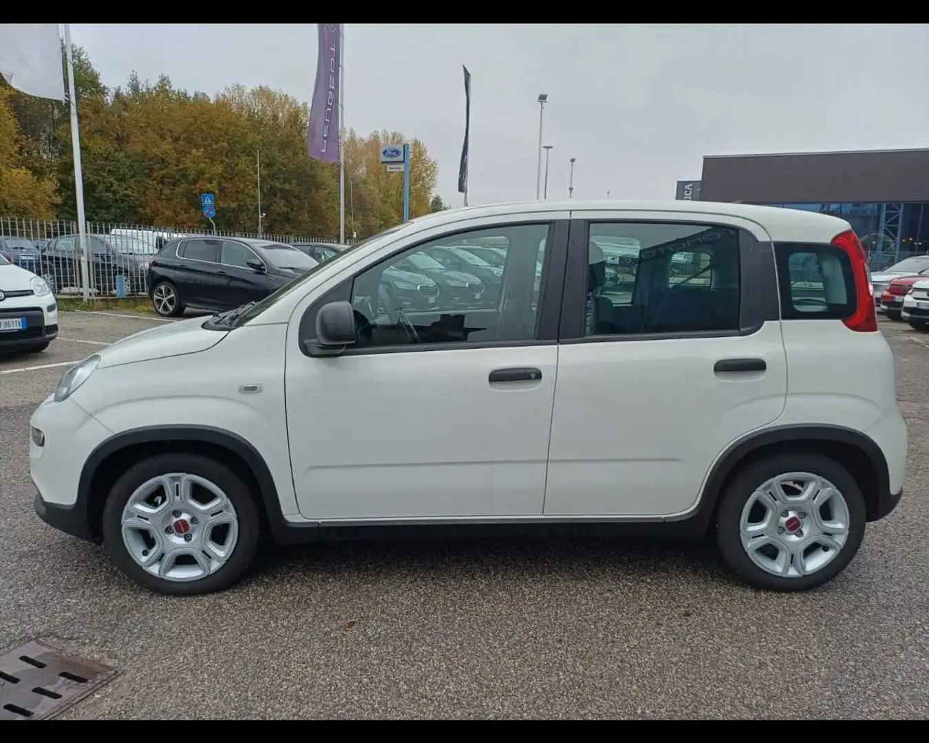 Fiat Panda 1.0 FireFly Hybrid Blanc - 2