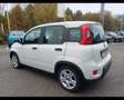 Fiat Panda 1.0 FireFly Hybrid Blanc - thumbnail 3
