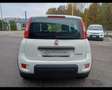 Fiat Panda 1.0 FireFly Hybrid Blanc - thumbnail 4