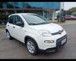 Fiat Panda 1.0 FireFly Hybrid Blanc - thumbnail 8