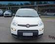 Fiat Panda 1.0 FireFly Hybrid Blanc - thumbnail 7