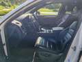 Volkswagen Touareg R line Sky V6 TDI BMT 4Motion Aut. Weiß - thumbnail 11