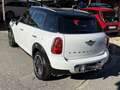 MINI Cooper D Countryman 2.0 Park Lane Plus-E6-AUTOMATICA -RATE- - thumbnail 7