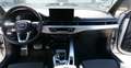 Audi A4 A4 Avant 35 TDI S-line S-tronic S-line Weiß - thumbnail 13