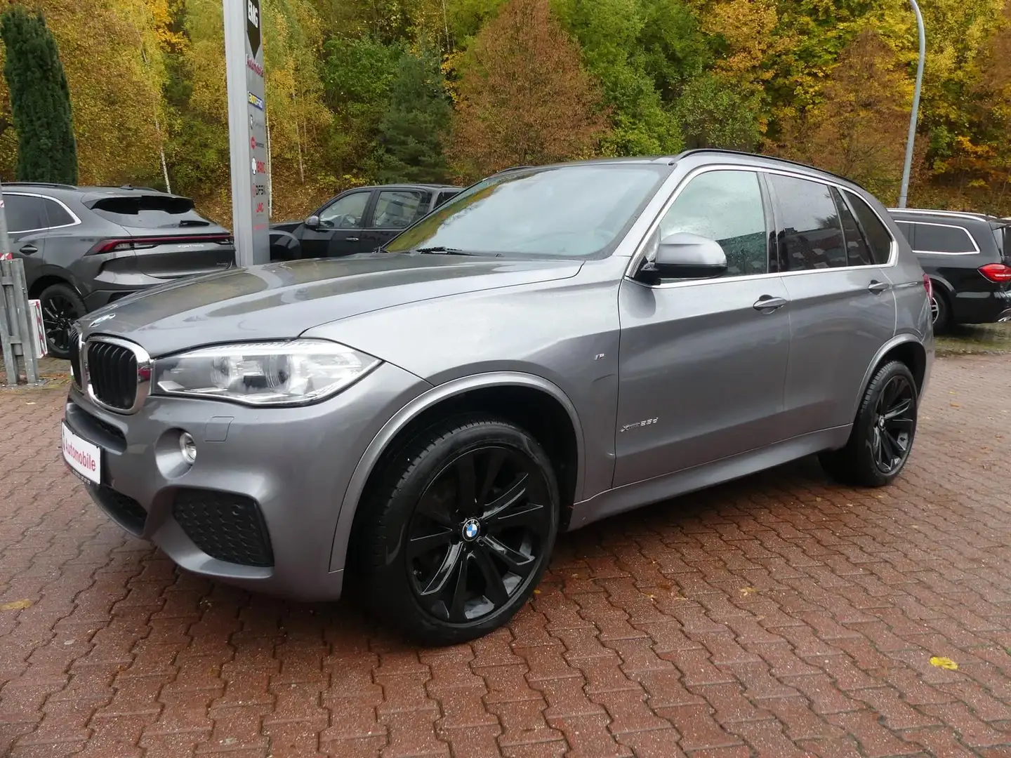 BMW X5 *25d*xDrive*M*7 Sitze*Xenon*Leder*HuD*Pano*Kam Gris - 1
