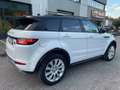 Land Rover Range Rover Evoque Range Rover Evoque 2.0 TD4 150 CV 5p.*Catena Fatta Blanc - thumbnail 4