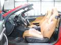 Alfa Romeo Spider 2.2 JTS 16V PININ FARINA / EXCLUSIV / Rot - thumbnail 19