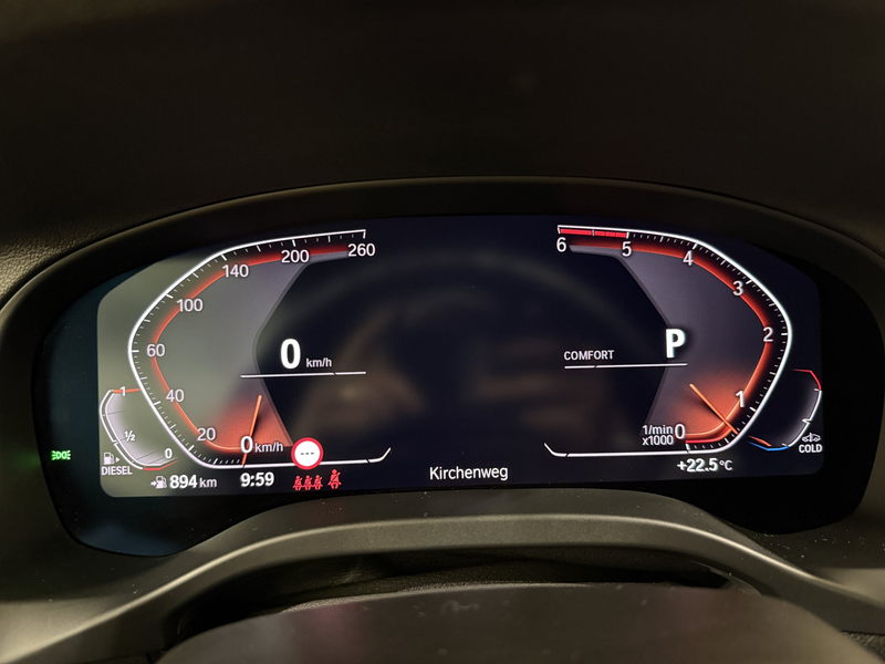 BMW X4 xDrive30d M Sportpaket AHK HUD HiFi RFK ALED — photo 12