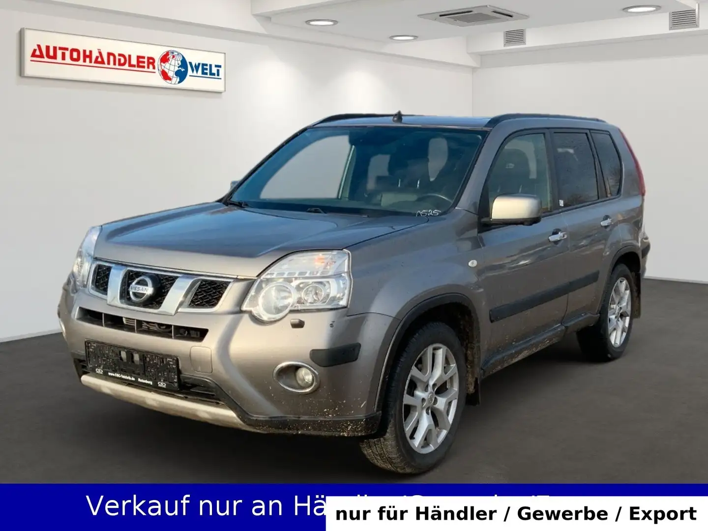 Nissan X-Trail 2.0 dCi LE 4X4 Automatik Leder Executive Grau - 1