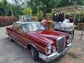Mercedes-Benz 220 220SE Coupe Red - thumbnail 13